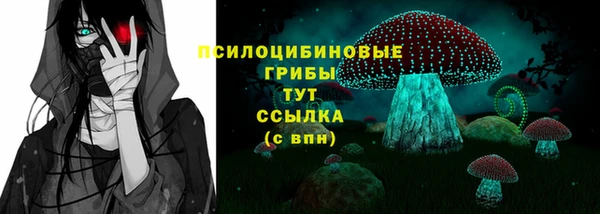 ешки Богданович