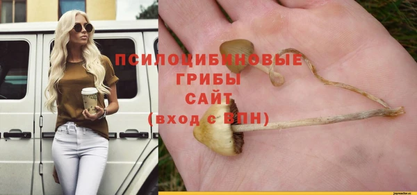 ешки Богданович