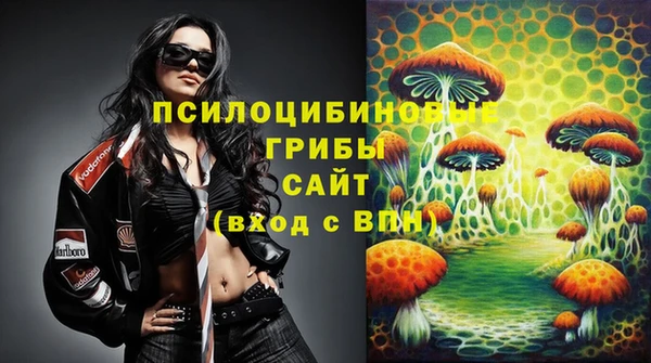 стафф Богородицк