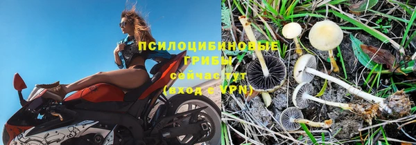 ешки Богданович