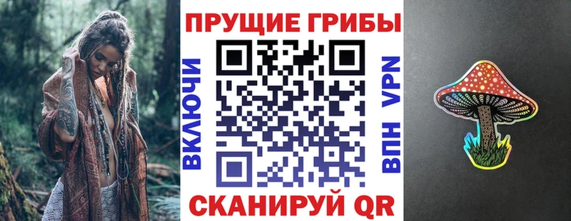 KRAKEN как зайти  Тверь  Галлюциногенные грибы Magic Shrooms  как найти  