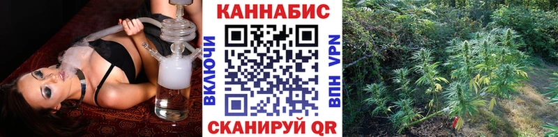 Конопля семена  Тверь 